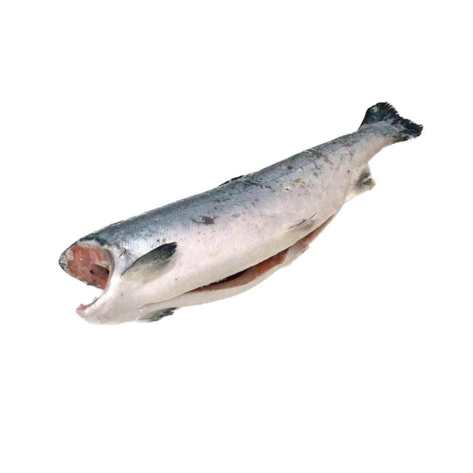 Item 1