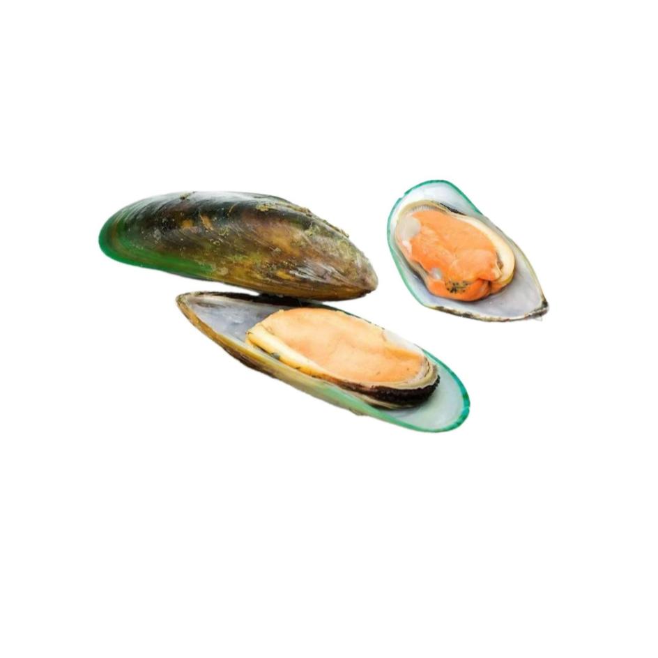Item 1