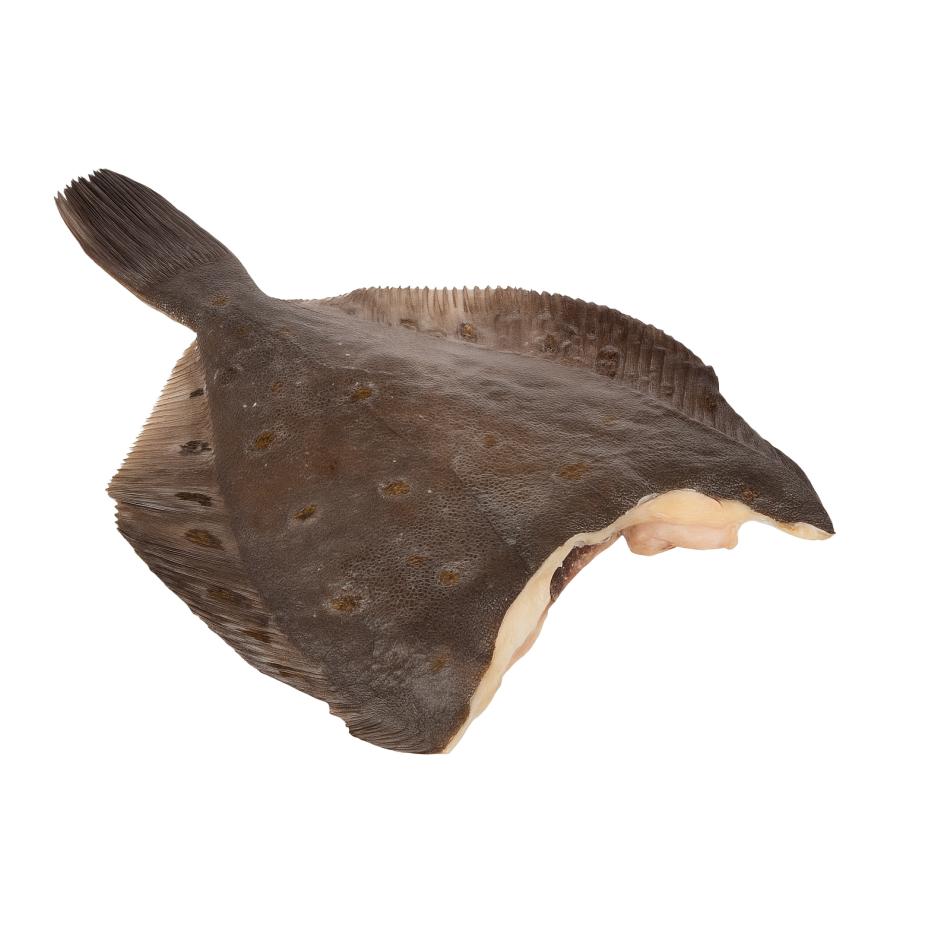 Item 1